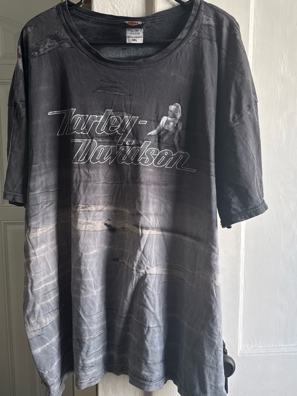 Harley-Davidson Black Gray Ombre Script Logo Tee with Pin-Up Graphic